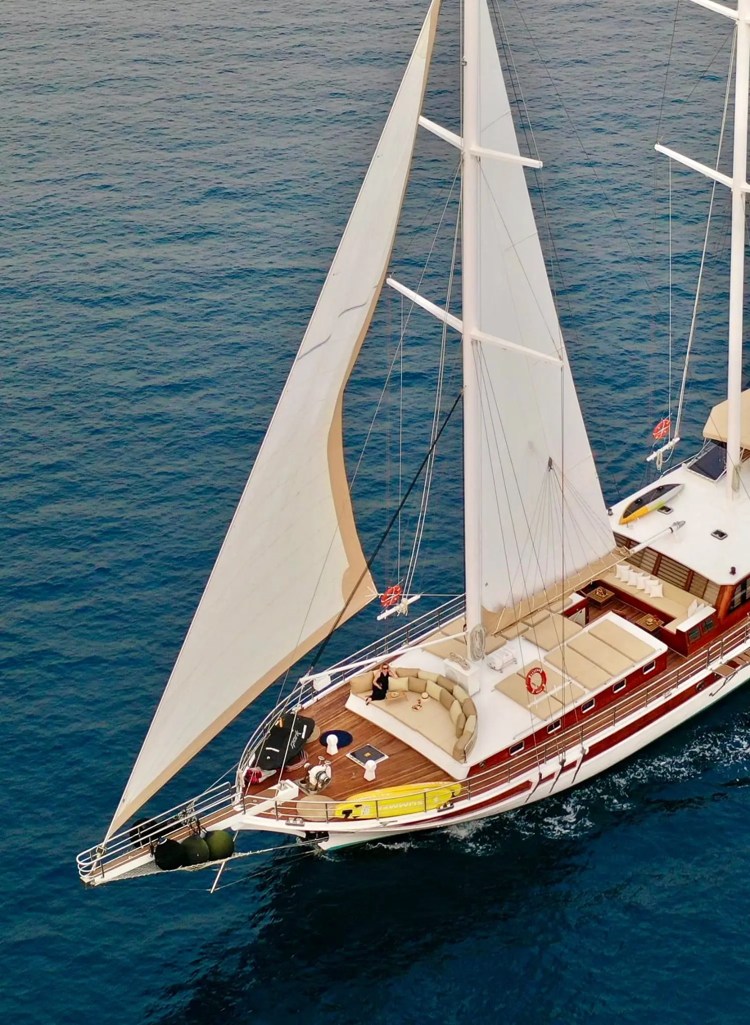 stella maris