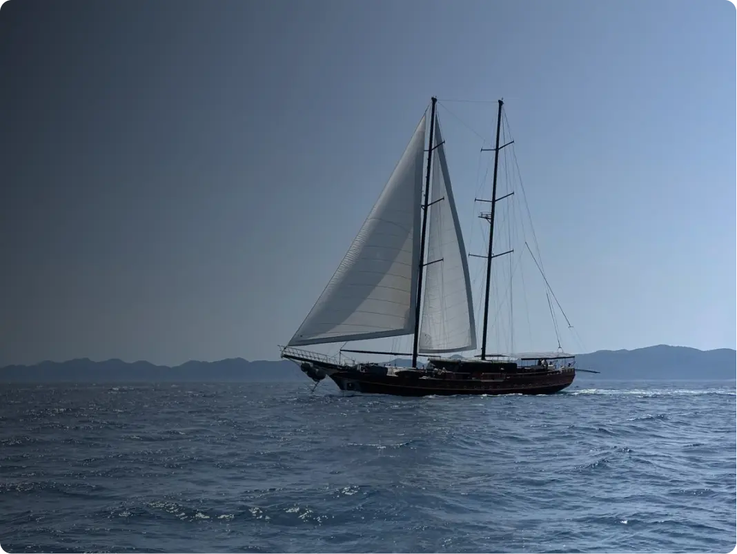 stella maris